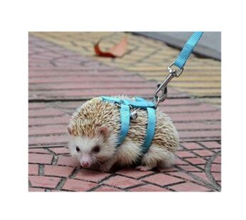 Adjustable Small Pet Hedgehog Harness